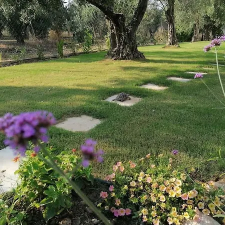 Nicole's Boutique In * Nikiti (Sithonia)