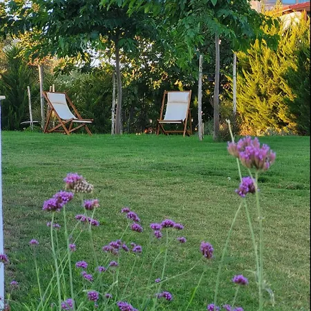 Apartamento Nicole's Boutique In Nikiti (Sithonia)